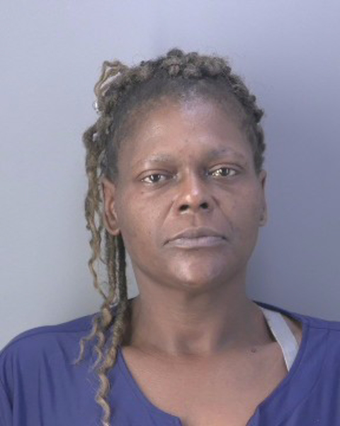 Mugshot of CHASITY LASHARON ANN MCKAY MILLS