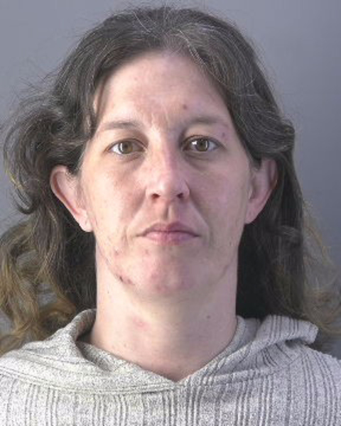 Mugshot of JENNA LYNN PALLADINO