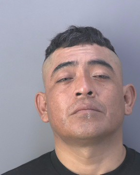 Mugshot of DOMINGO MARTINEZ MARTINEZ