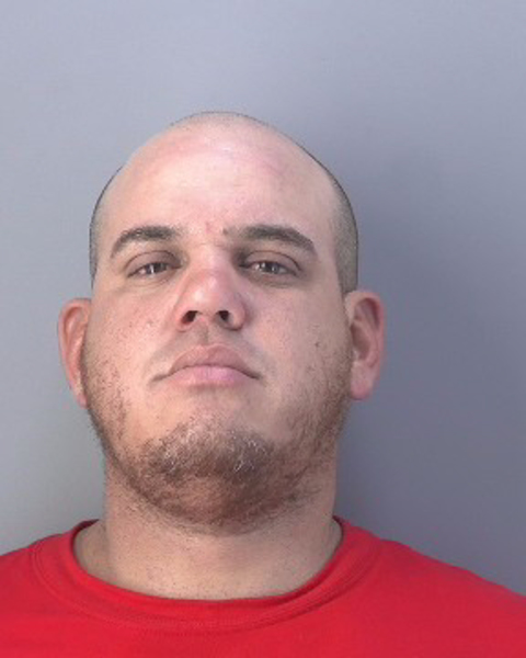 Mugshot of BARBARO YONLISMEL CORREA MONTANO