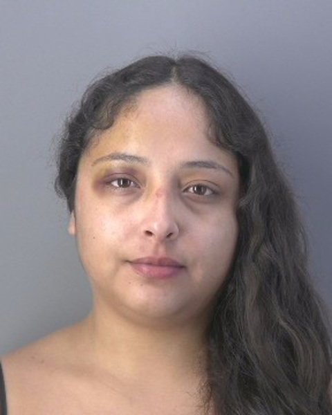 Mugshot of DIANA RENE LOPEZ