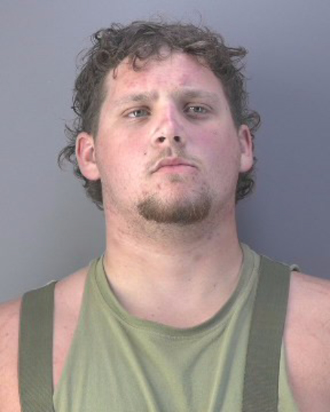 Mugshot of LAKOTA AYLO TANNER