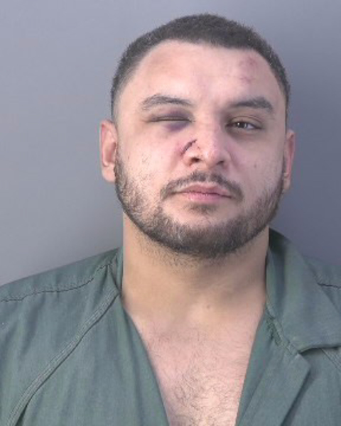 Mugshot of CARLOS ALVAREZ