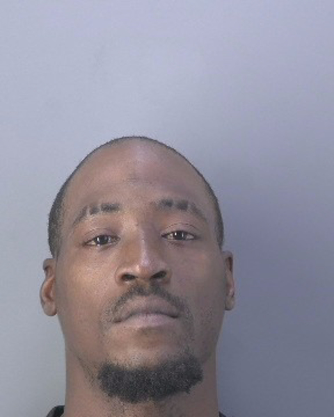 Mugshot of MICHAEL GREGORY BRYANT