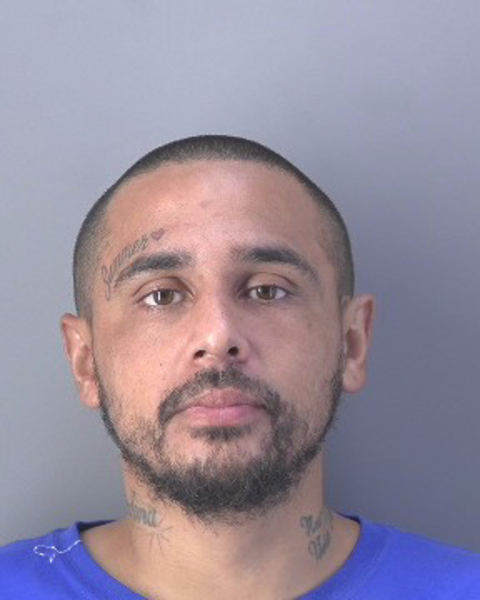Mugshot of MARIO EDGAR BEDOLLA