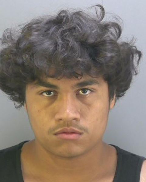 Mugshot of ANTONIO MARIO ARENIVAR