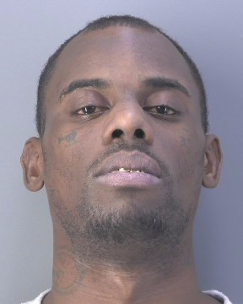 Mugshot of MARK WAYNE RICHARDS