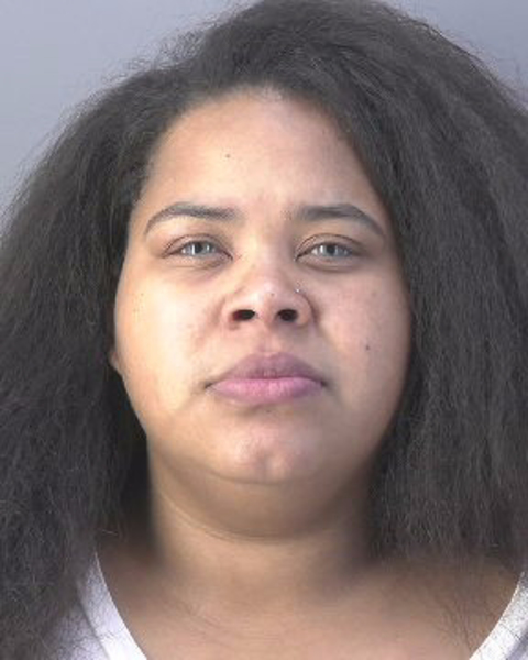 Mugshot of BRIANA NICOLE WATSON