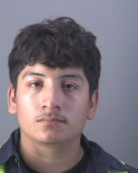 Mugshot of LUIS JULIO OLGUIN