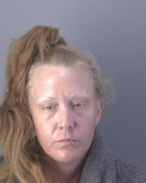 Mugshot of SARAH MICHELLE GARNER