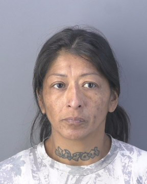 Mugshot of NICKI LOUISE OSCEOLA