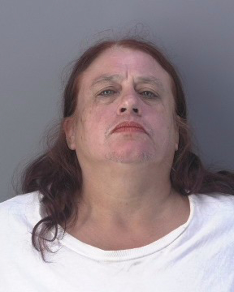 Mugshot of JULIE SUE SANCHEZ