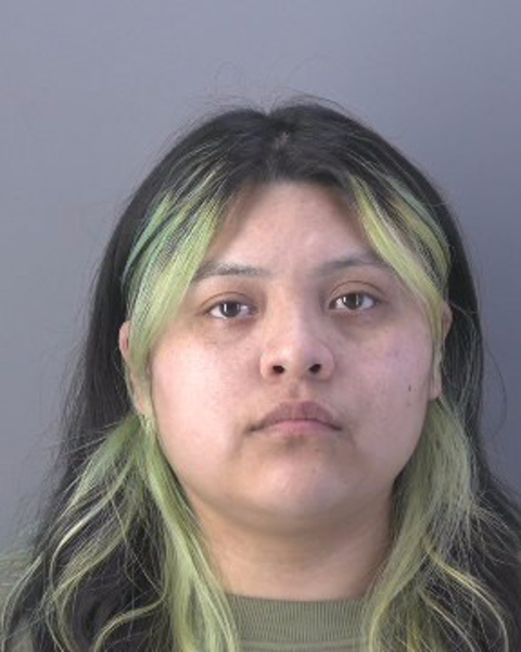 Mugshot of MARTINA LEEANN HERRERA