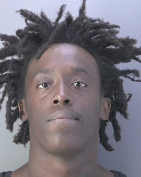 Mugshot of CHAMARION LEWIS