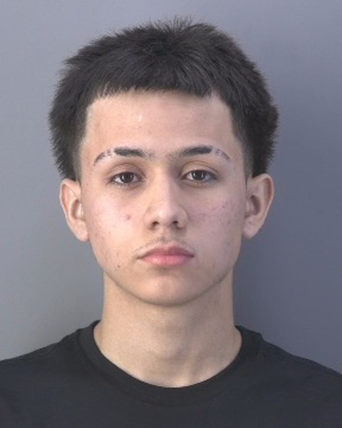 Mugshot of DAVID LUIS MARTINEZ REYES