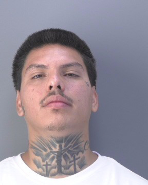 Mugshot of JAMES LESTER GORE