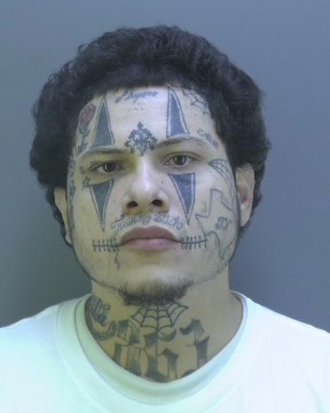Mugshot of JESUS ALEXIS VAZQUEZ