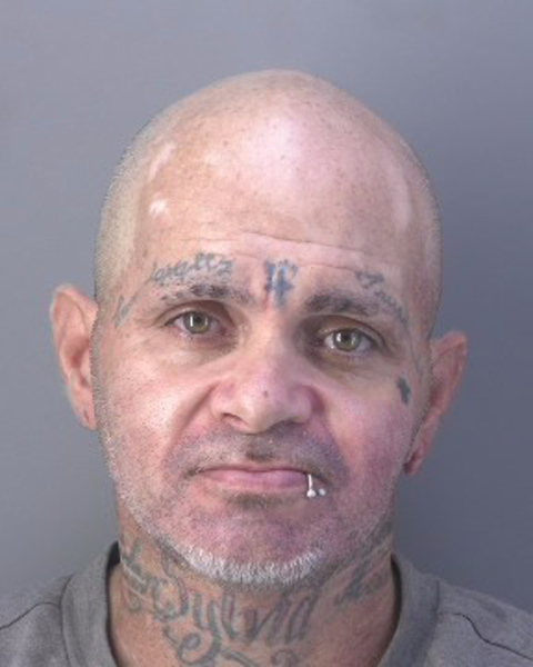 Mugshot of JOSE GUADALUPE MIRELES
