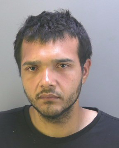 Mugshot of ELMER YANES