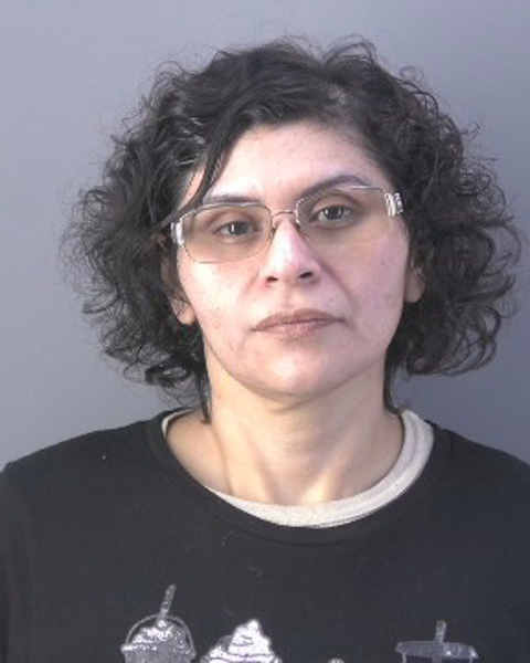 Mugshot of WENDIS ISABEL TURCIOS