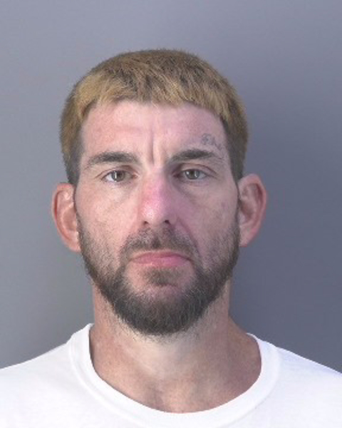 Mugshot of SHAWN DAVID SANDERS