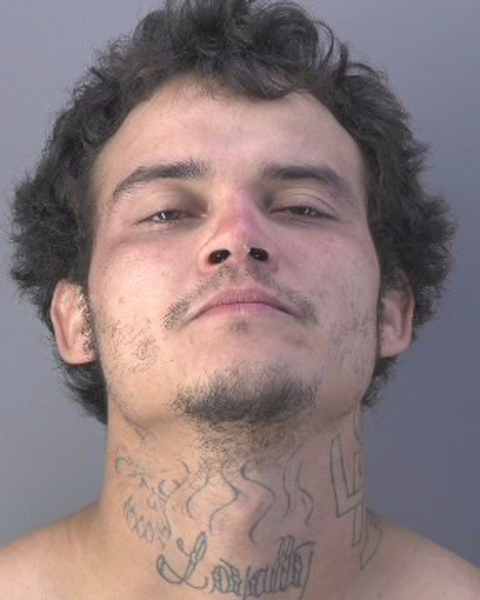 Mugshot of WILLIAM PATRICK FERRER