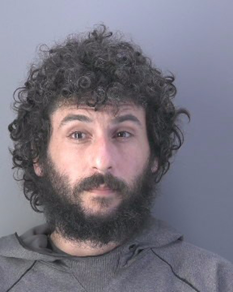Mugshot of MATTHEW ANTHONY LUNA