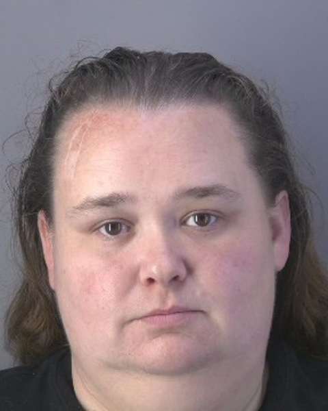 Mugshot of BRANDY JO WATSON