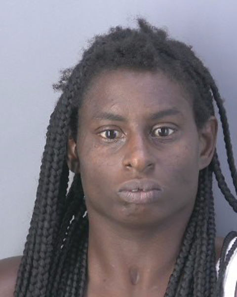 Mugshot of SHENIYA IASIA RAY