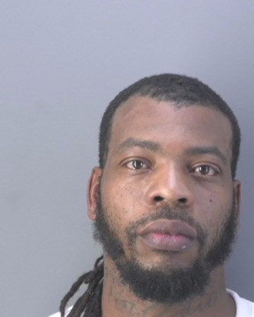 Mugshot of DIMITY LAMONT PEARSON