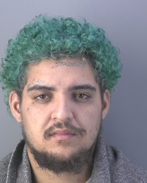 Mugshot of CHADLEY TYLER DAVIS