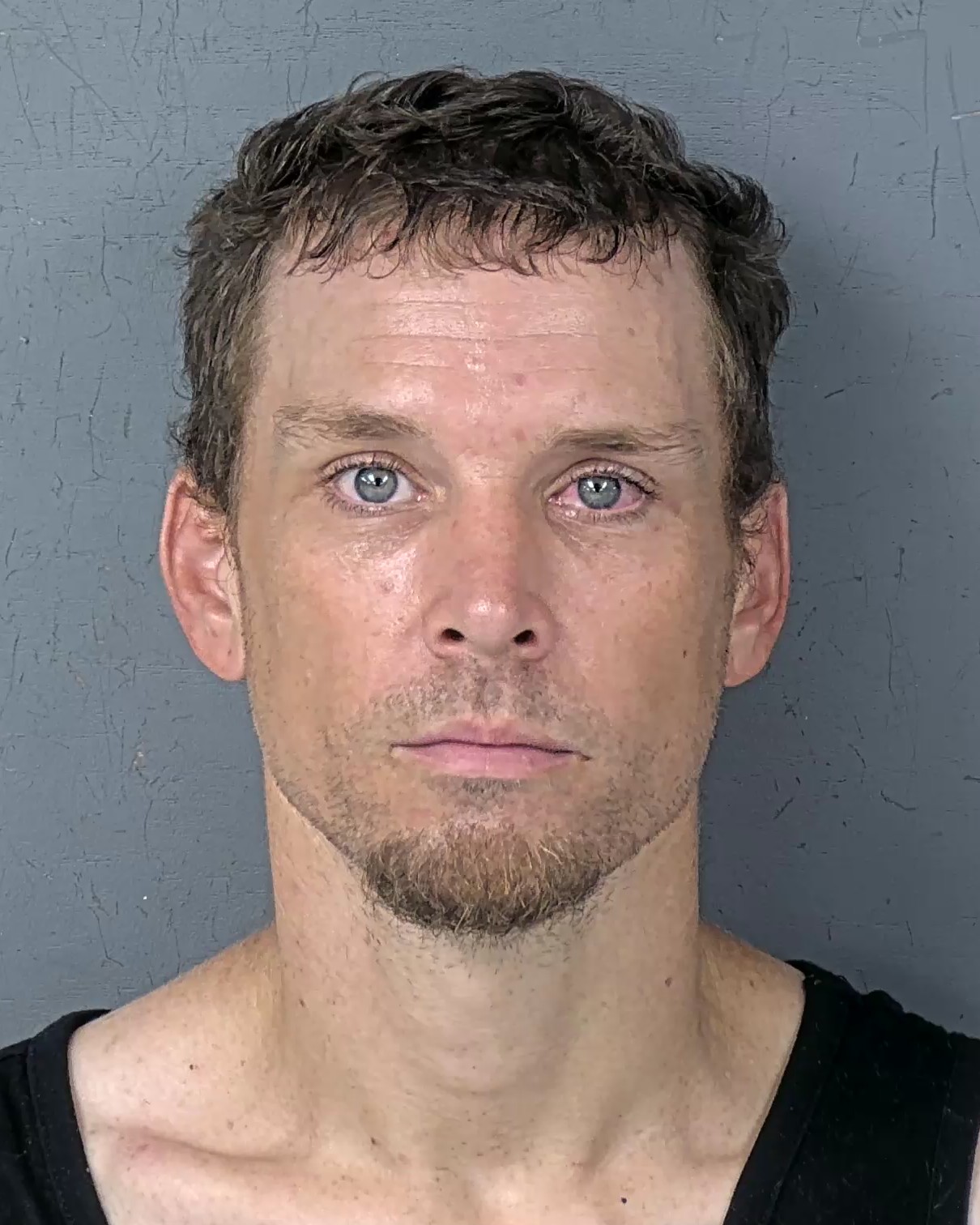 Mugshot of MICHAEL DALTON THORNTON