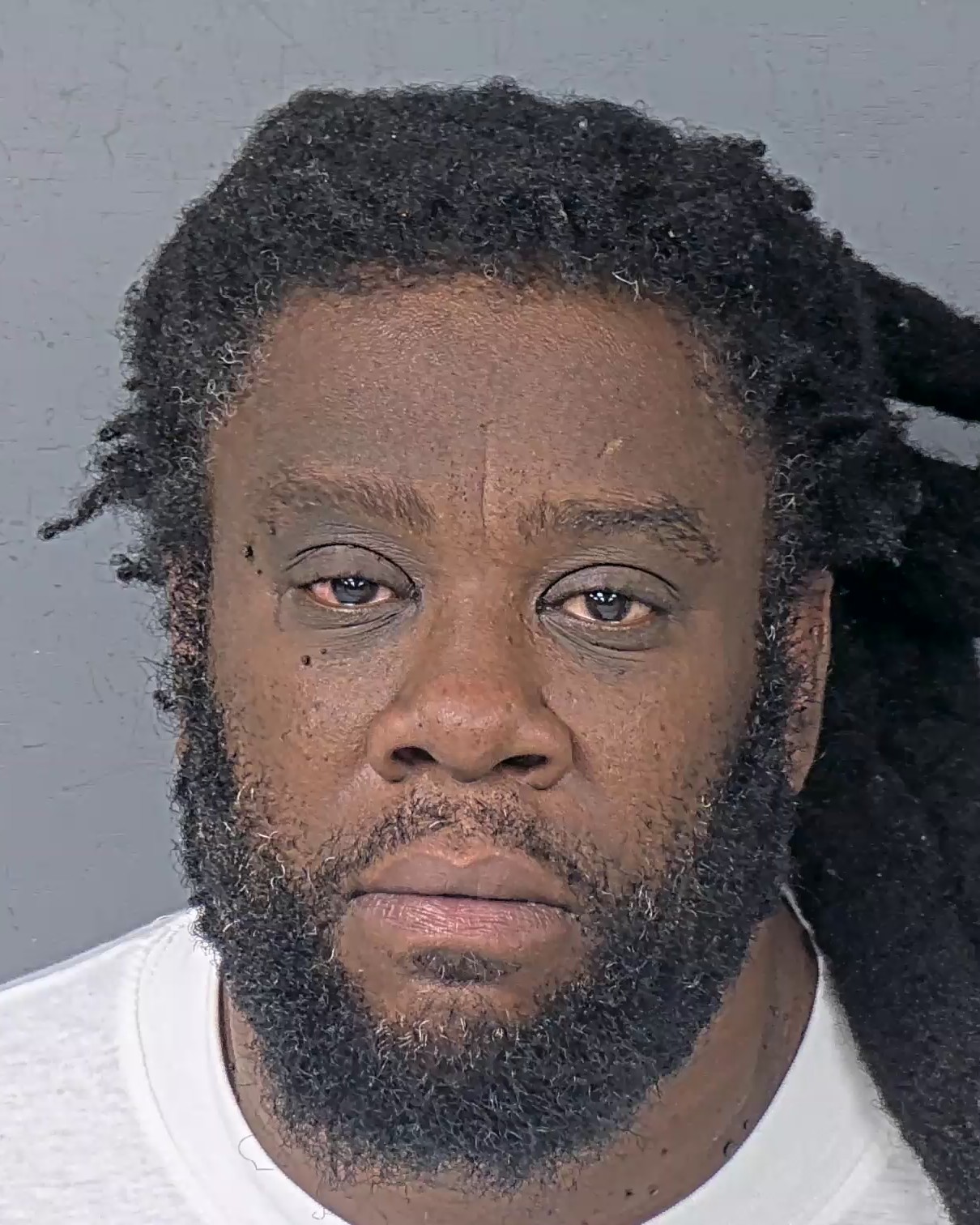 Mugshot of BRIAN ALEX MARTIN