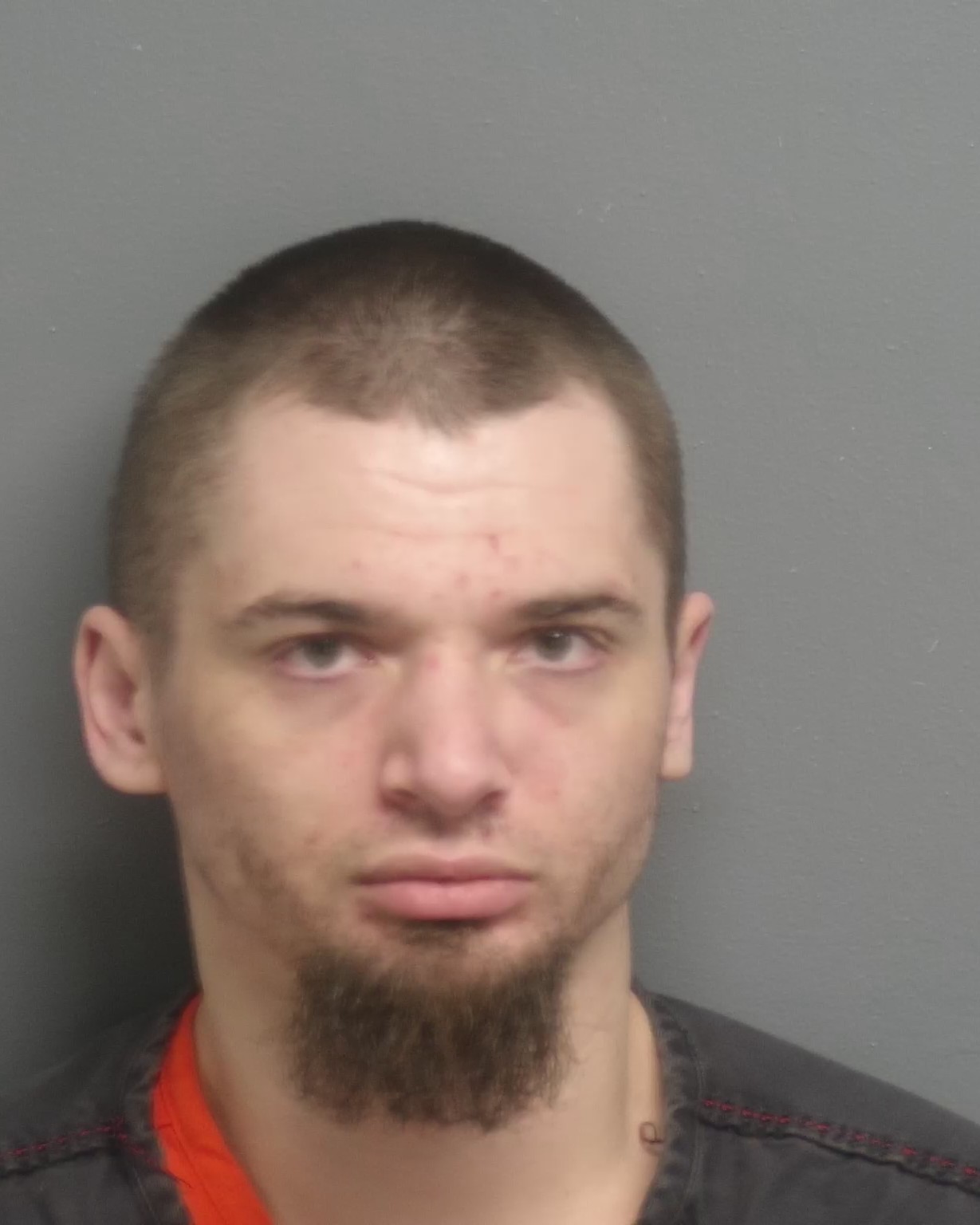 Mugshot of BLAKE AUSTIN KELLOUGH