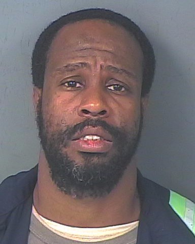 Mugshot of SHANNON PERNELL BROWN