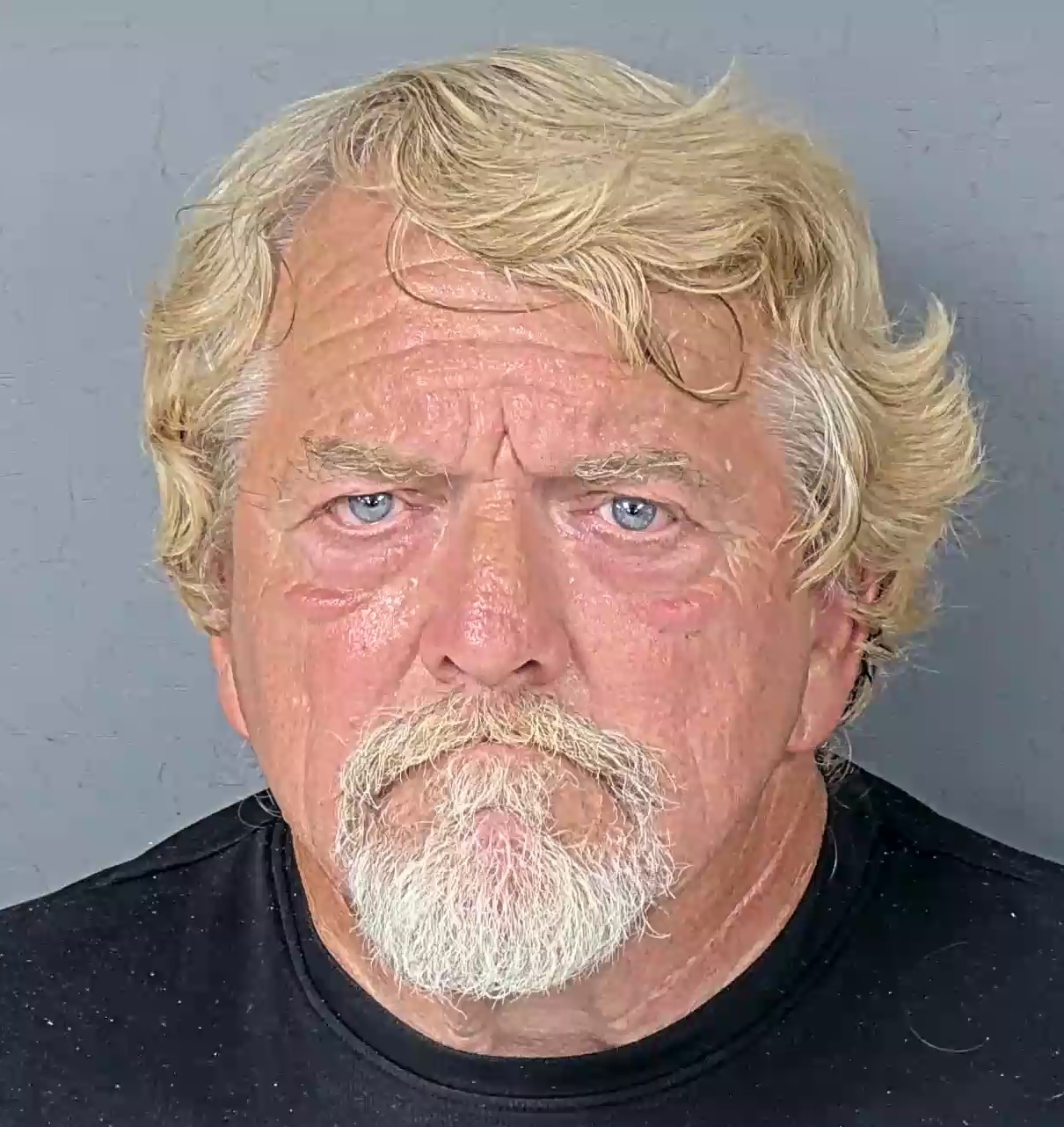 Mugshot of JERRY LEE DEMENT