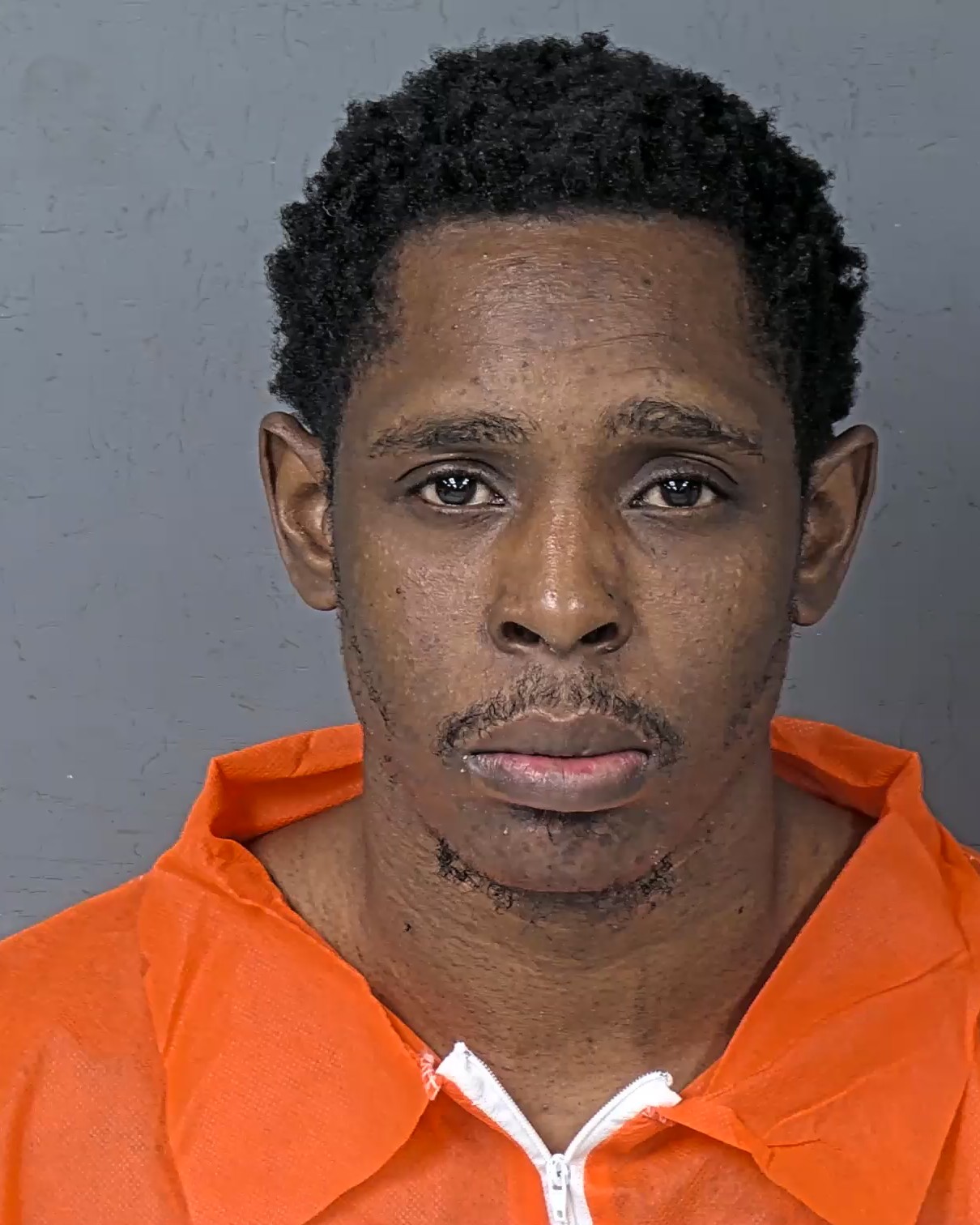 Mugshot of AHLI DREYTON FIELDS