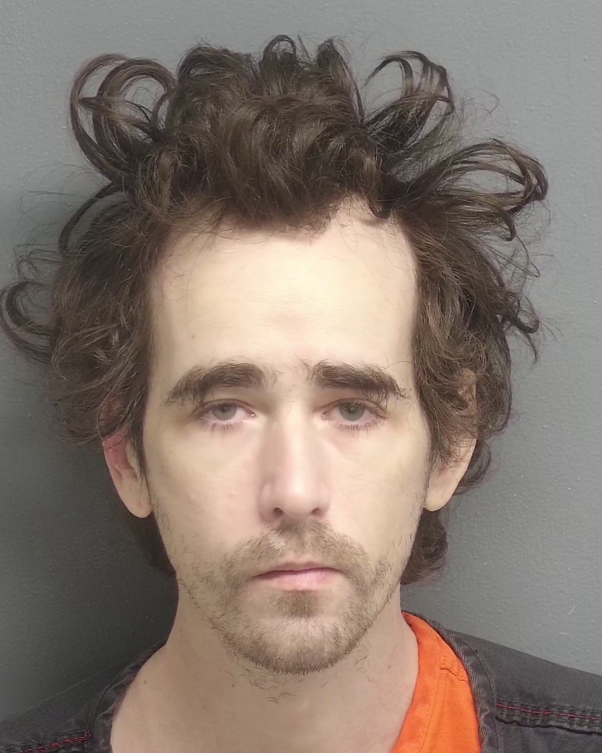 Mugshot of SCOTT DANIEL LOUIS WATSON