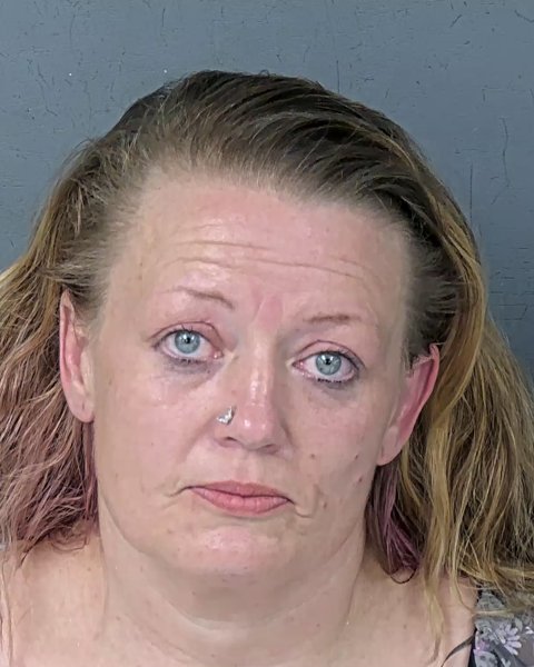 Mugshot of CRYSTAL MAE HOVIS