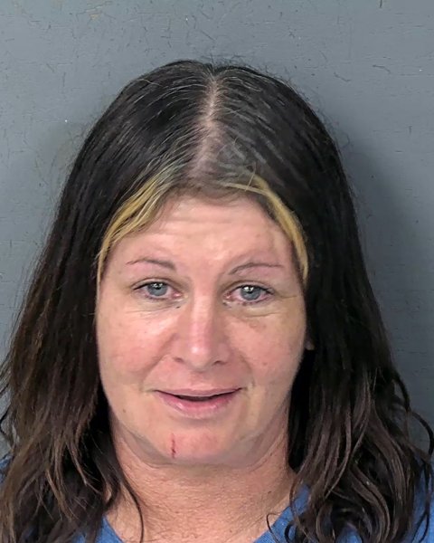 Mugshot of TINA LOUISE RUMORE