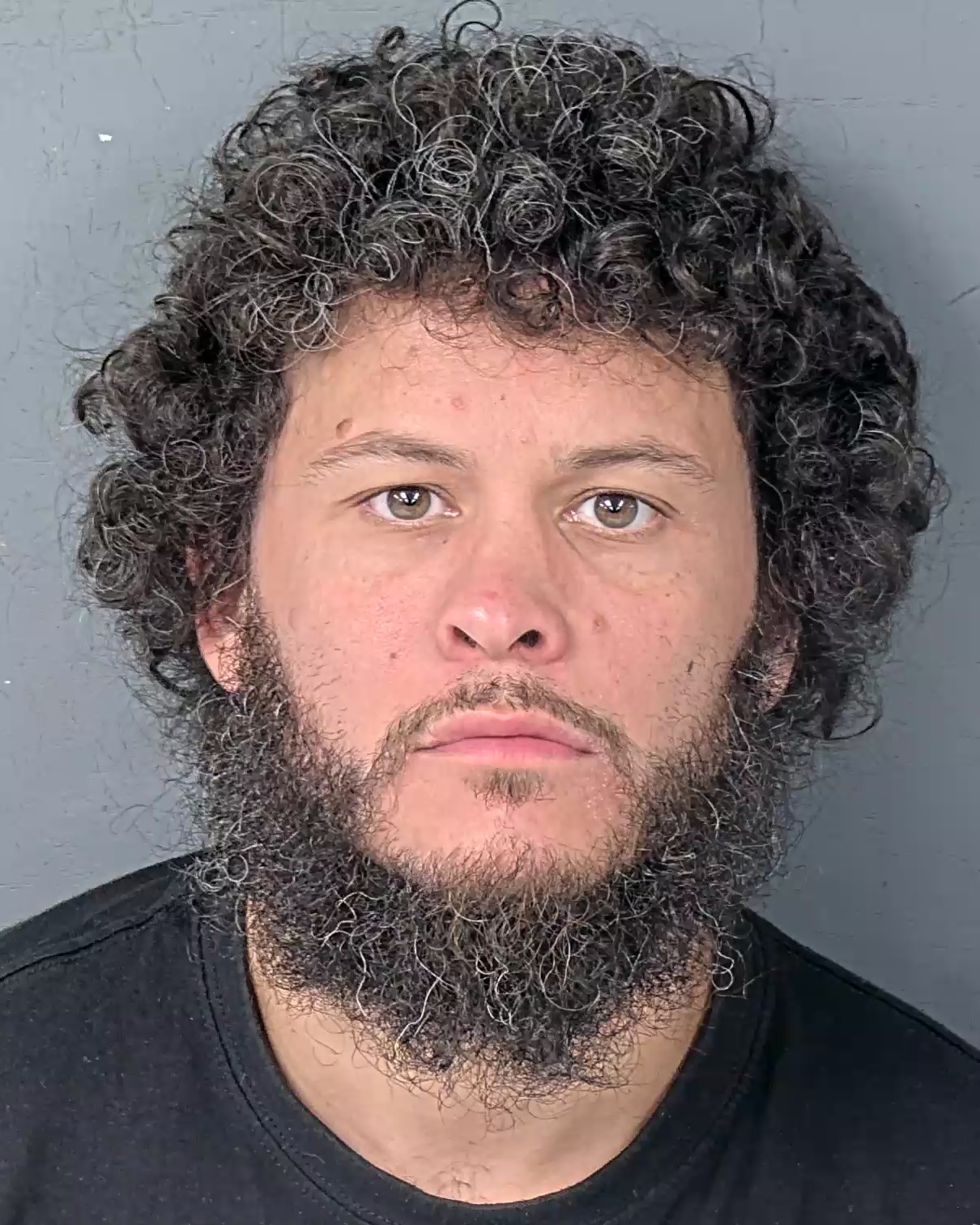 Mugshot of WILFREDO ECHEVARRIA FERNANDEZ