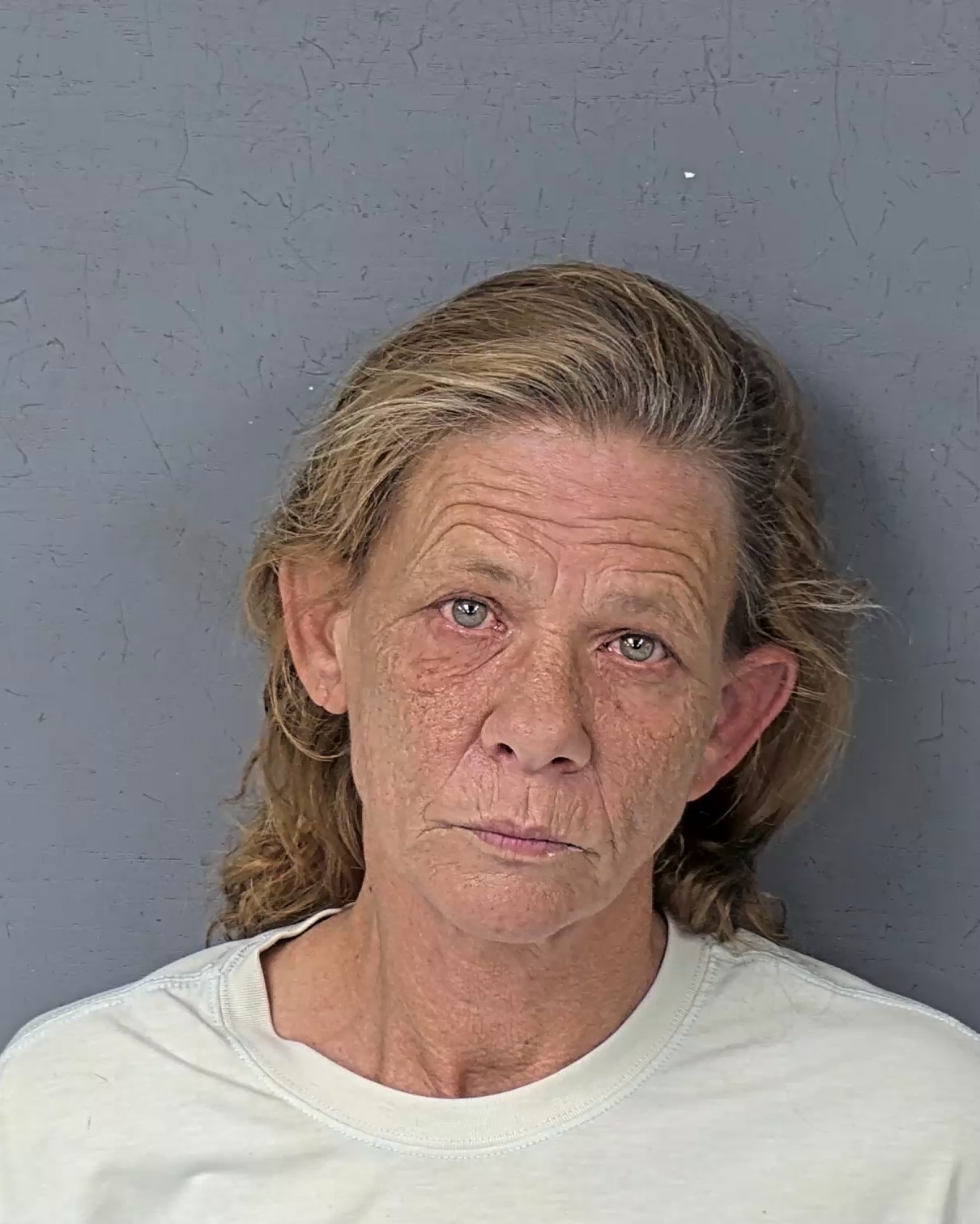 Mugshot of LISA BARLENE FOREHAND