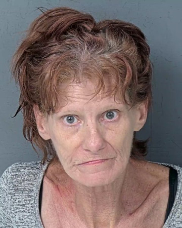 Mugshot of JEANIE MAE WINGFIELD