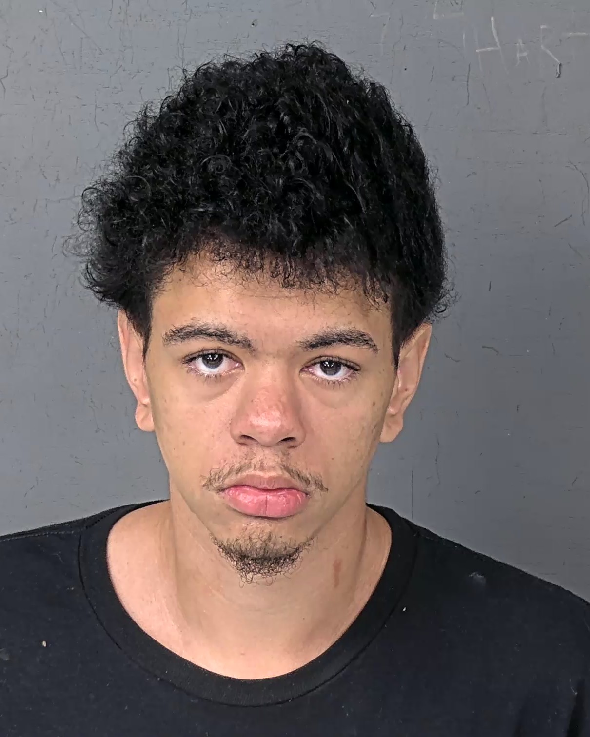 Mugshot of LEE ARTHUR INMON