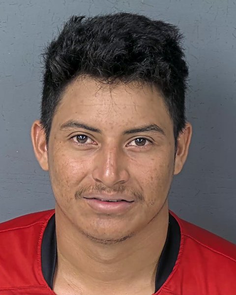 Mugshot of JULIO OCTAVIO BRINDIS TRINIDAD