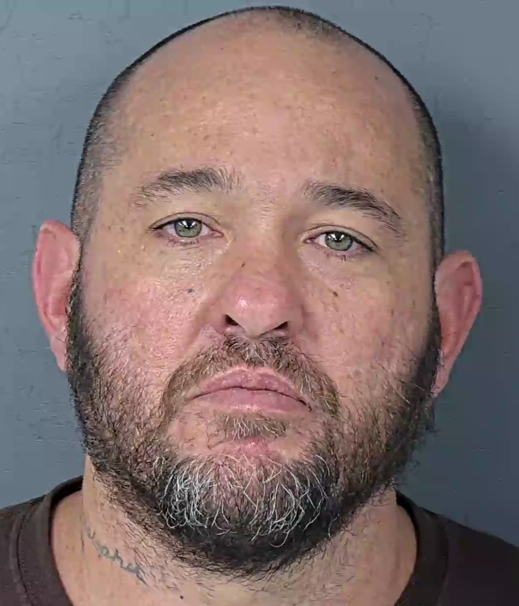 Mugshot of BRIAN MICHAEL MARTIN
