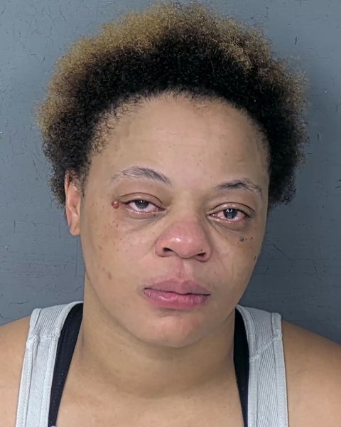 Mugshot of TESHEARA DAY JONE FIELDS