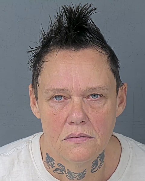 Mugshot of BRENDA ELAINE CREWS
