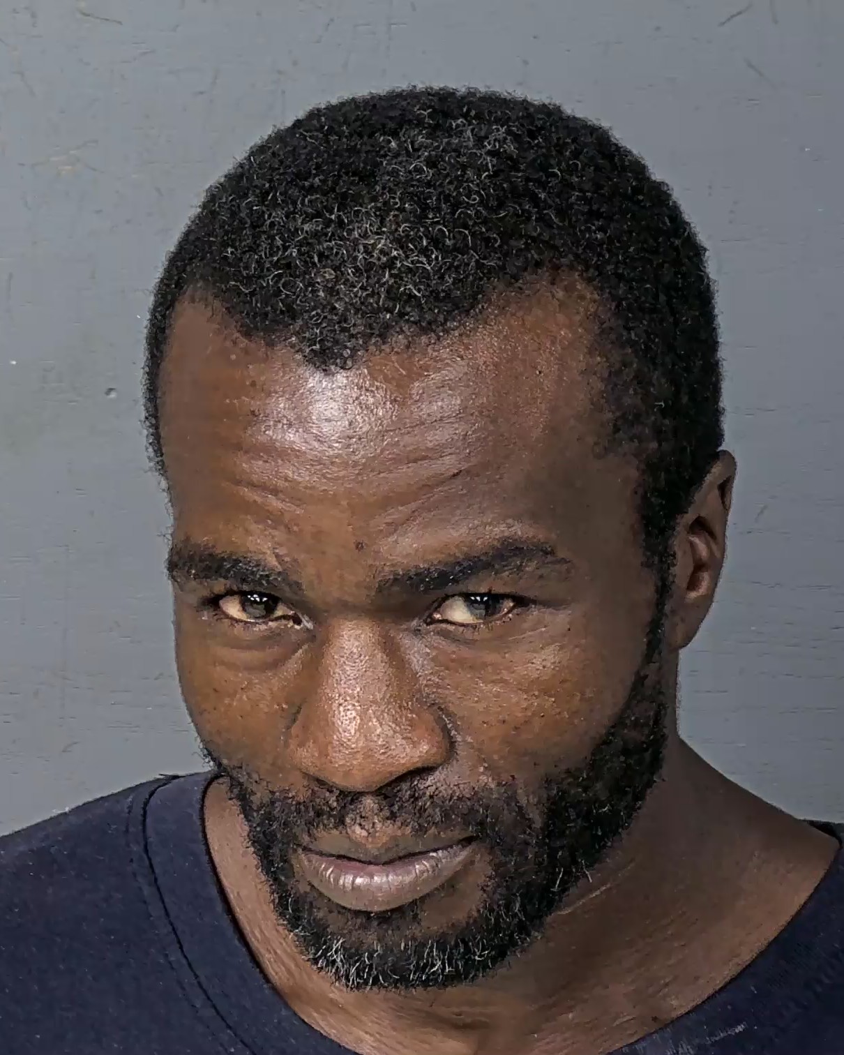 Mugshot of WILLIAM CALVIN JOHNSON