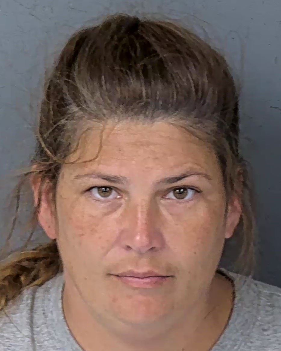 Mugshot of BRITTANY MICHELE LONG